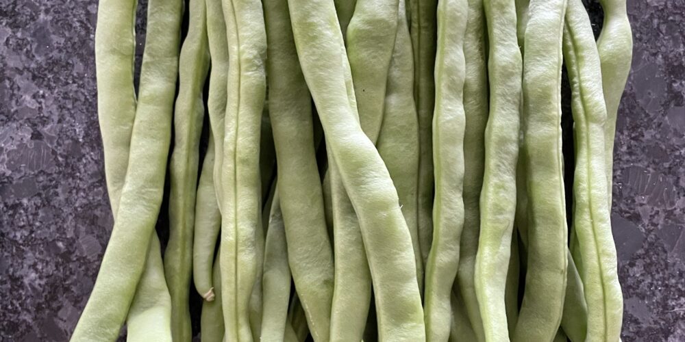 Ryders top of the pole